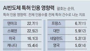 한국, AI반도체 특허 ‘질보다 양’… 건수 3위-인용 영향력 15위 