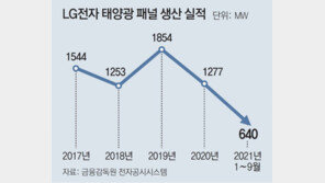 LG전자, 태양광 패널사업 12년만에 철수 