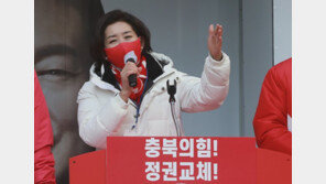 나경원 “김건희보다 김혜경 궁금…이준석 조금 자제해야”