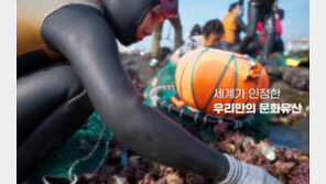 윤도현-서경덕, 유네스코 세계유산 ‘제주해녀’ 국내외에 알린다