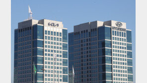 국내 16개 그룹, 러에 53개 법인…현대차 18곳  ‘최다’