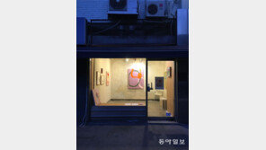 [고양이 눈]도시의 오아시스