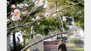 [날씨]반가운 봄비, 주말 내내 포근…‘불청객’ 미세먼지 나쁨