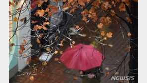[날씨]토요일 전국 곳곳 비소식…밤에 대부분 그쳐