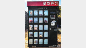 [고양이 눈]꽃 자판기