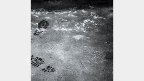 뼈는 알고 있다 그가 왜 세상을 떴는지[책의 향기]