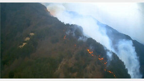오늘만 전국 12곳서 동시다발 산불…인제 등 3곳 진화중