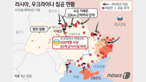 “日화물선, 우크라 앞 흑해서 미사일 피격…선원 1명 부상”