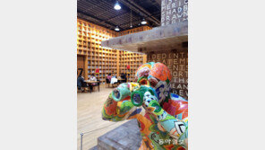 [고양이 눈]지켜보고 있다