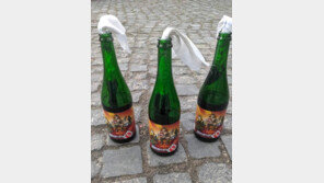 화염병 만드는 우크라 맥주회사…라벨엔 벌거벗은 푸틴