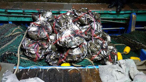 ‘백령도서 꽃게 싹쓸이…불법조업 중국인 선장, 벌금 2억원