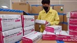 임신부 33만명에 진단키트 10개씩 지원…내달 7일부터