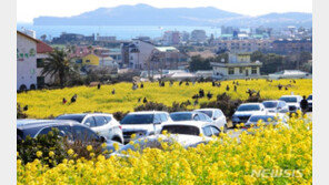 [날씨]3.1절, 포근한 봄 날씨 성큼…오전 전국에 비 소식