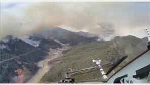 金총리, 경남 합천 산불 긴급지시…“조속한 진화 총력”