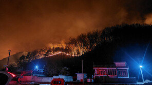 고령으로 번진 ‘합천 산불’에 대창양로원·요양원 이용자·환자 68명 대피