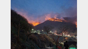 경남 합천 산불 고령까지 확산… 축구장 280개 넓이 태워
