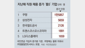 [단독]작년 채용 증가 쿠팡·삼성전자 1, 2위…국민연금 가입자 분석