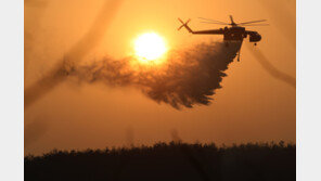 합천·고령 산불 27시간 만에 진화…축구장 945개 면적 소실