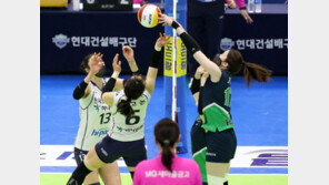 도로公 고춧가루 맵네… 현대건설, 1위 확정은 나중에