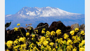 오늘 낮-밤 일교차 16도 이상… 감기 조심하세요