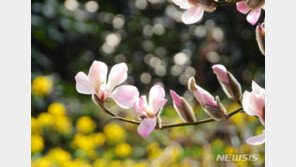 [날씨]전국 대체로 맑은 하늘…낮부터 기온 오르며 ‘봄 날씨’