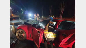 시속 252㎞ ‘광란 질주’ 2명 사망…스팅어 동호회원들 입건