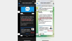 국민의힘 “李특보단 소통방 폐쇄공지 수정…선거법 위반 자인”