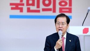홍준표 “난잡한 대선판, 보수가 李지지·진보가 尹지지” 