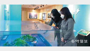 독도체험관 찾은 시민들