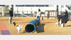 반려 가구 165만 경기도, ‘반려동물 낙원’ 만든다