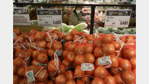 양파가격 다시 오른다… 생산량 감소 영향