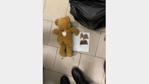 러 공작원, 곰 인형에 총알 숨긴 채 민간인 사이에 잠입