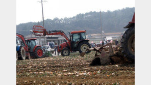“속이 시커멓게 타들어만 갑니다” 양파 밭 갈아엎는 농심