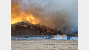 김 총리 “경북 울진 산불, 일몰 전까지 진화 총력” 긴급지시
