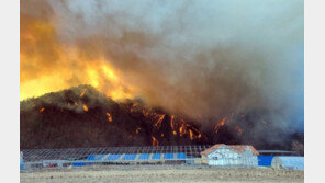 울진 산불 강풍타고 확산…소방 동원령 추가 발령
