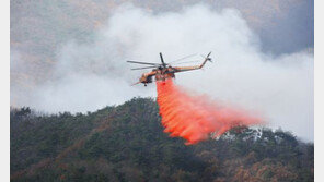 “한울원전 안정상태…방사능 누출 없어, 주변산불 초기진화”