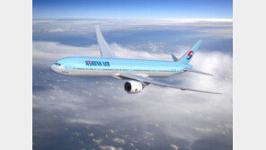대한항공, 러시아행 여객기 18일까지 운항 중단