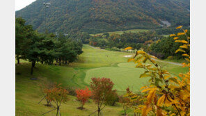 골프장 캐디·통학버스 기사도 7월부터 고용보험 적용
