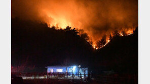 李 “울진 산불, 철저 대응 당부…주민들에 깊은 위로 전해”