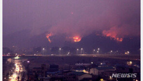 강원 영월 산불 진화율 50％…밤새 크게 번질 듯