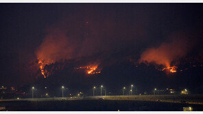 울진 산불 7번 국도 상하행선 전면 통제