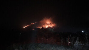 함양서도 산불…인원 360여명·헬기 7대 등 동원 진화 중 ‘진화율 80%’