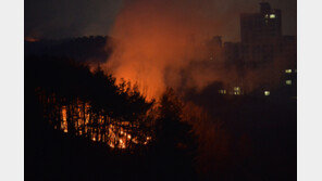 울진·삼척 산불 이틀째…일출과 동시에 헬기 53대 등 투입 진화 중