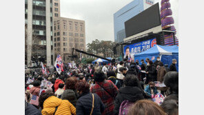 전광훈, 또 대규모 도심 집회…“3·1절보다 더 많은 사람 올 것”
