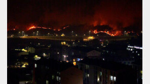 울진·삼척 산불 피해 축구장 8496개 면적…주택 116채 불타