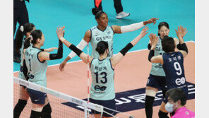 GS칼텍스도 집단 감염…여자부도 리그 중단·PS 단축 확정