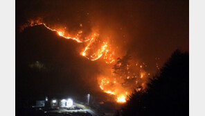 강원도 산불 확산에 동해∼강릉 KTX·무궁화 열차 운행 중단