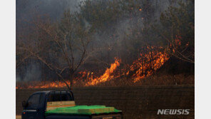 산불로 강릉~동해 KTX·고속도로·지방도 다 막혔다