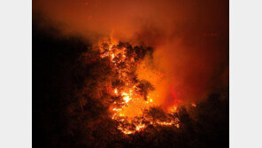 한달 빨리 발생한 대형 산불… 원인은 겨울 가뭄 탓?