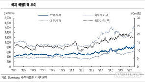 우크라 사태에 국제 밀 가격 급등…라면·과자·빵 가격 또 오를까